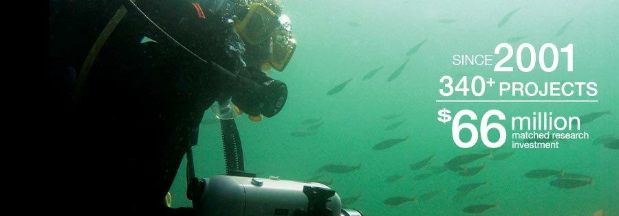 homepage_diver